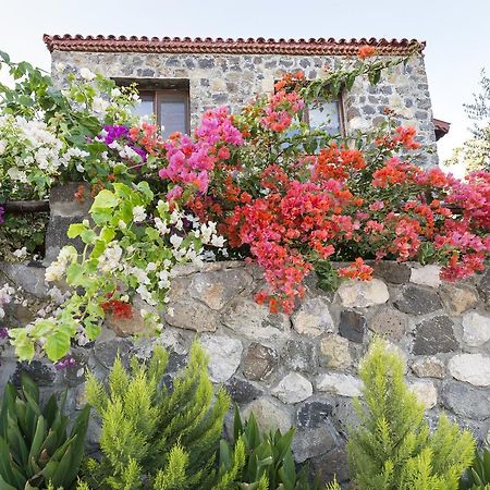 Karaburun Bahce Bed & Breakfast Luaran gambar